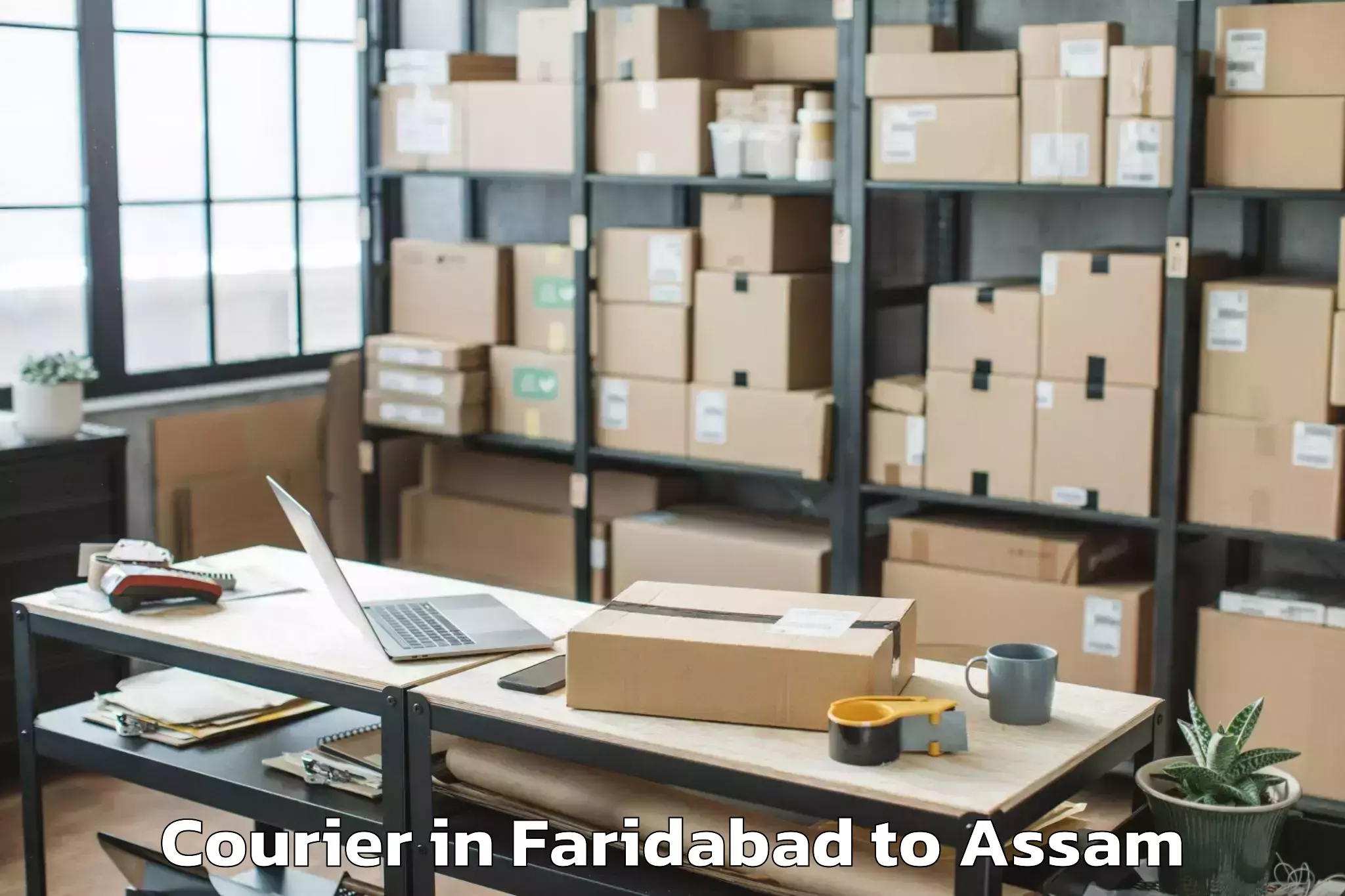 Easy Faridabad to Biswanath Charali Courier Booking